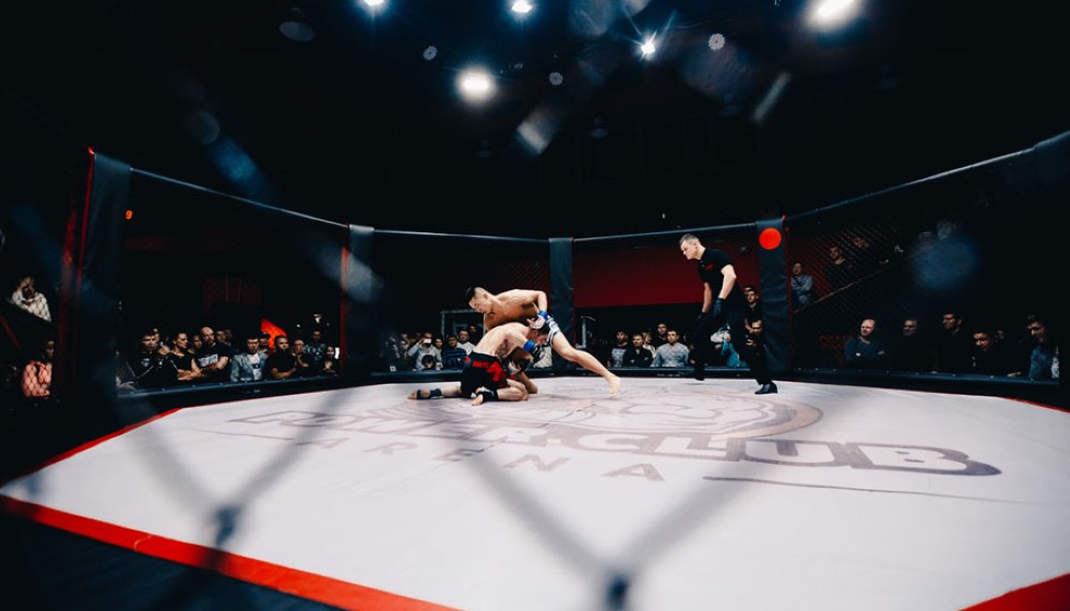 Spotlight on UFC Fighters: An Overview of Key Champions and Rising Stars