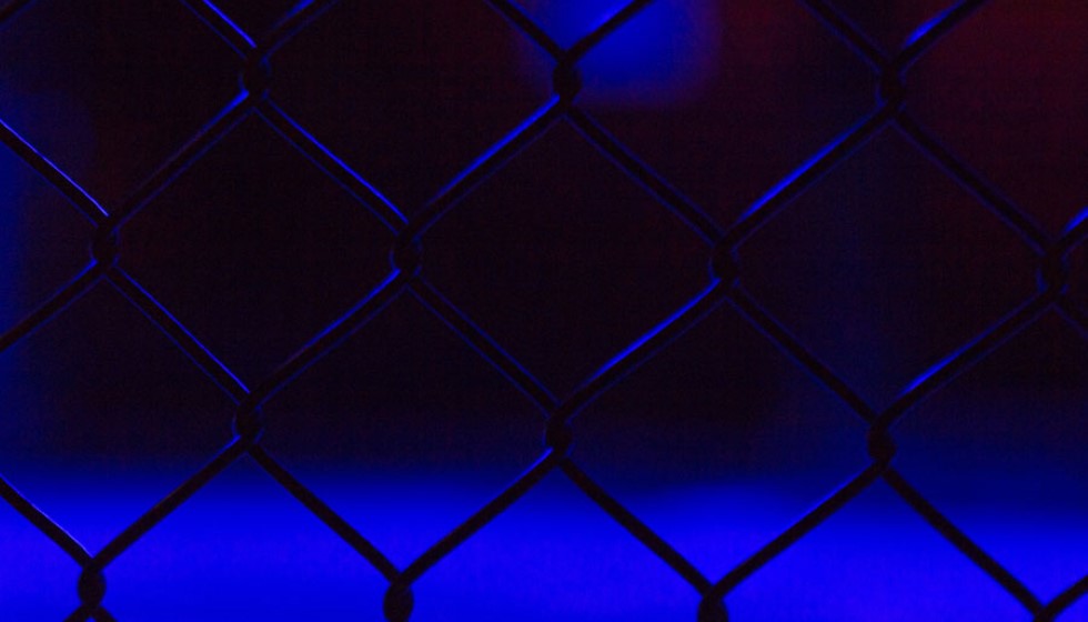 The UFC vs Francis Ngannou: A Standoff Over Autonomy and Competition
